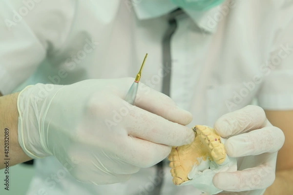 Obraz Dental technician works by brush with jaw model