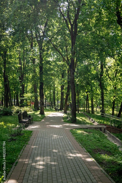 Obraz park