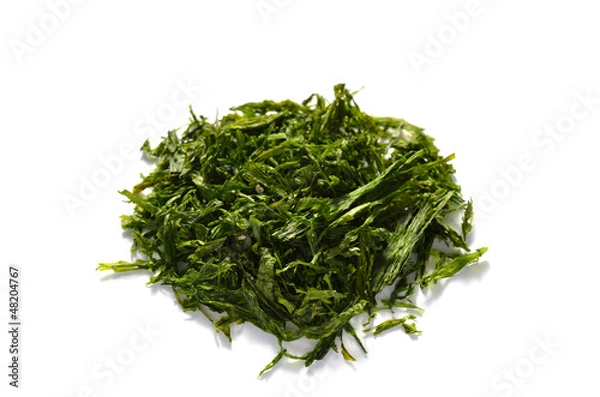 Obraz 青のり　白バック