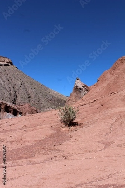 Obraz Atacama