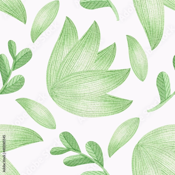 Fototapeta Watercolor pattern on a white background. Delicate first green. Leaves and green buds.