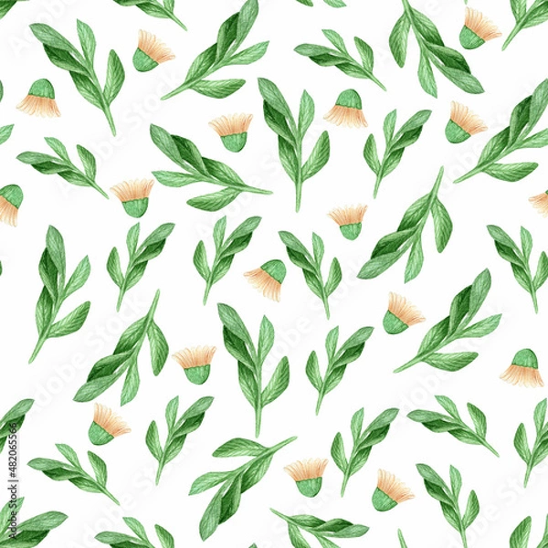 Fototapeta Bright green blades of grass and peach half-blown daisy flowers. Watercolor seamless pattern on white background