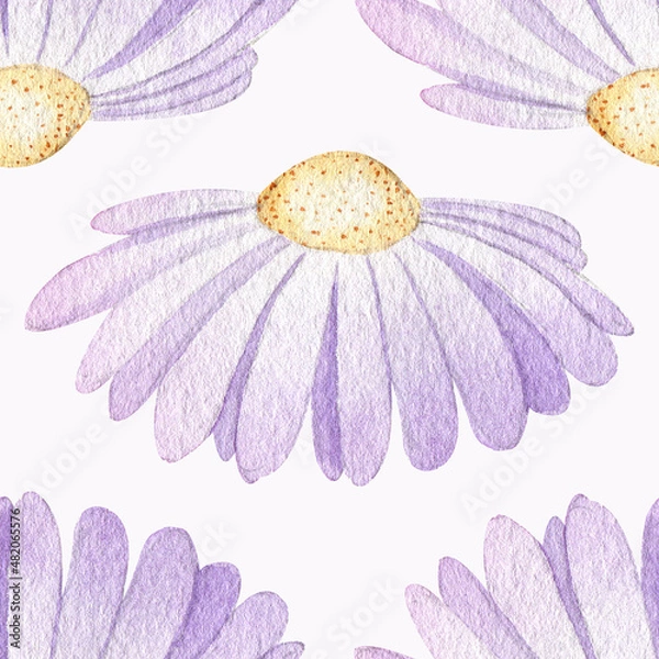 Fototapeta Lilac daisy flowers with small petals on a white background. Watercolor pastel pattern. Spring gentle print for bed linen, wrapping paper.