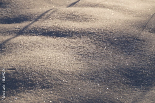Obraz traces on snow