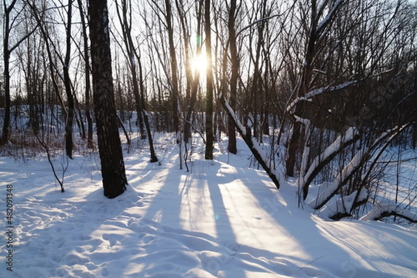 Obraz river in winter