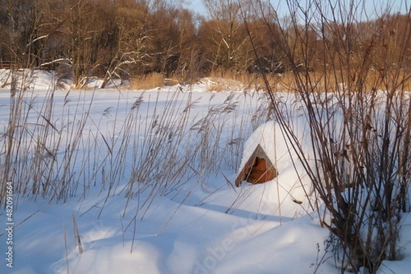 Obraz frozen lake in winter