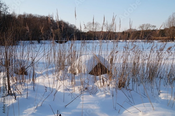 Obraz lake in winter