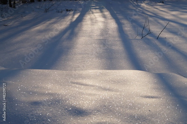Obraz tracks in snow
