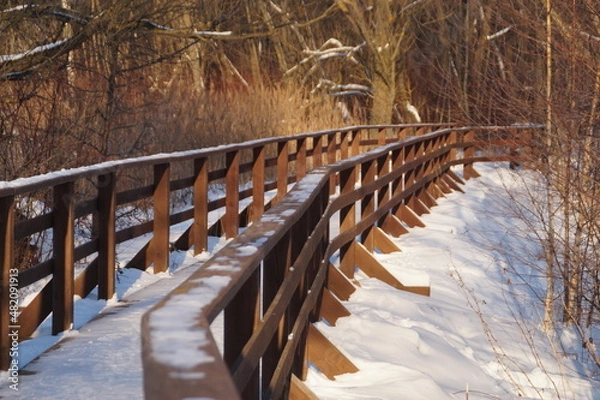 Obraz bridge in winter