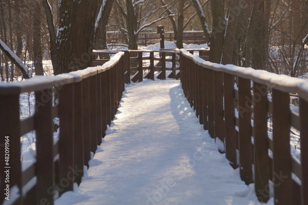 Obraz bridge in winter