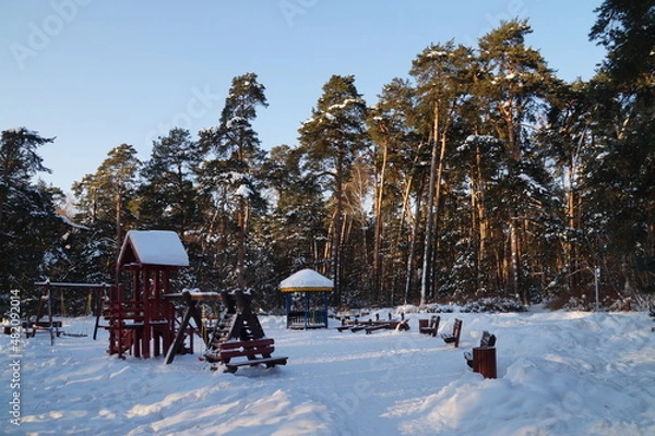 Obraz winter in the forest