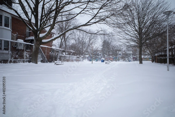 Fototapeta Toronto, Ontario / Canada - January 17, 2022 - Toronto St Clair West Graham Park covered in snow