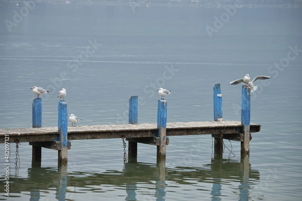 Obraz Pier with seagle
