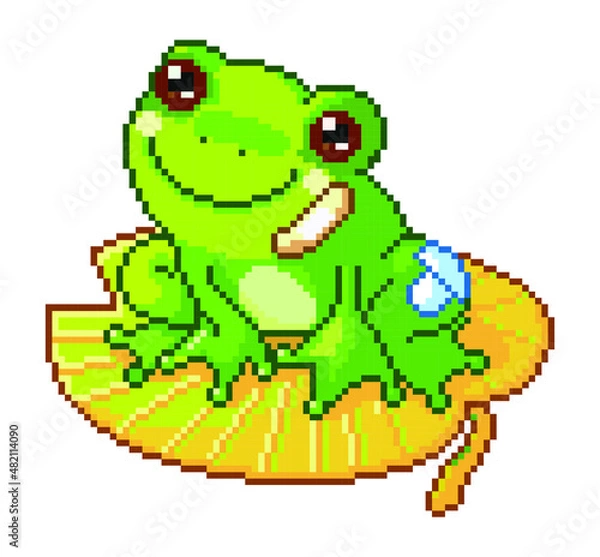 Obraz frog pixel
