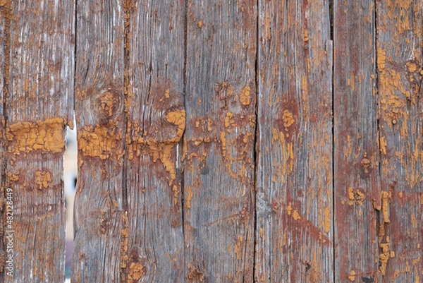 Fototapeta old boards from fences and gates are covered with dirt and old paint