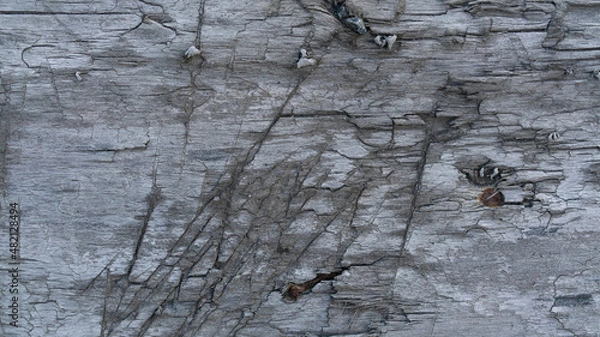 Fototapeta old boards from fences and gates are covered with dirt and old paint