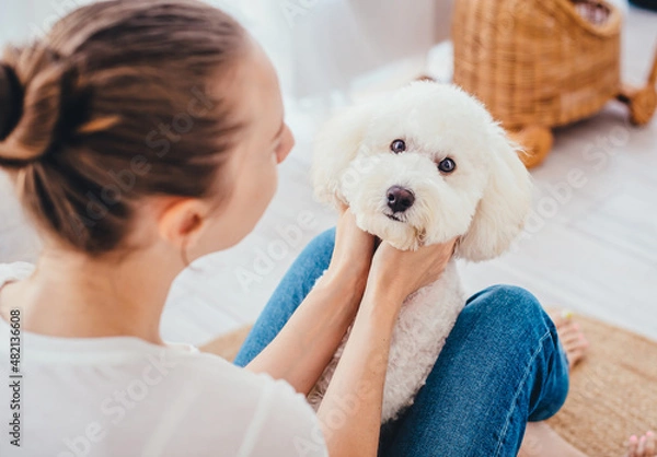 Fototapeta 
Love of mistress and poodle. The girl sits sideways to the camera, the dog is on her lap and looks into her face. The concept of love for pets. 