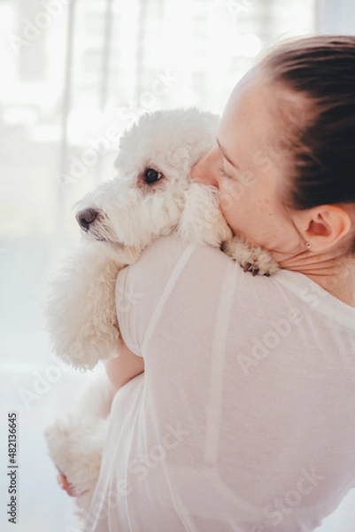 Fototapeta A girl of European appearance holds and hugs a poodle. 