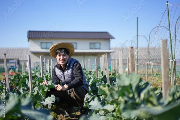 Fototapeta 農家の男性
