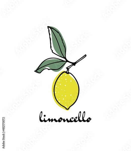Fototapeta Vector card with hand drawn graceful lemon branch with fruit. Beautiful ink drawing, graphic style. Advertising and packaging design elements
