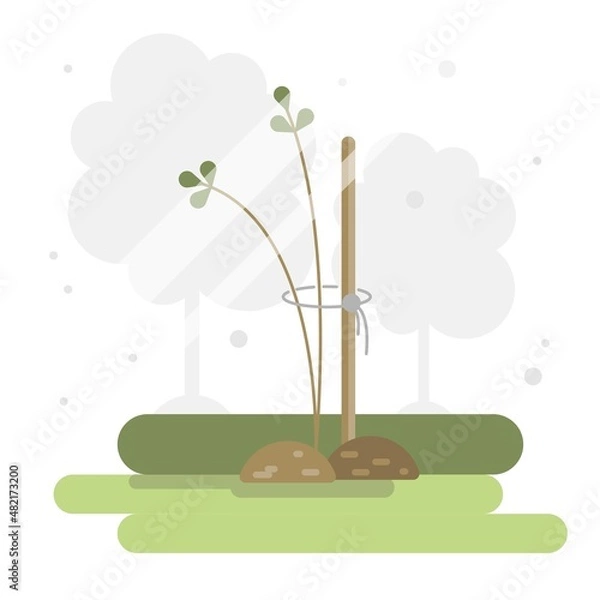 Obraz Vector illustration with young sapling, green stalk.