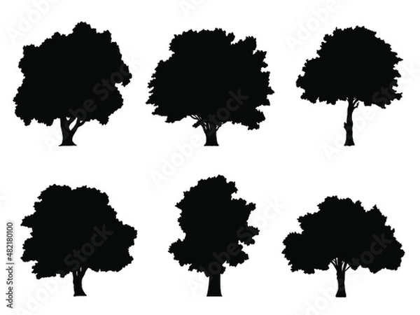 Fototapeta collection isolated tree Symbol silhouette style on white background. Can be used for your work.
