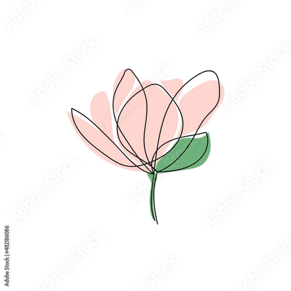 Obraz Cute outline drawing of single blooming magnolia flower.Vector illustration.