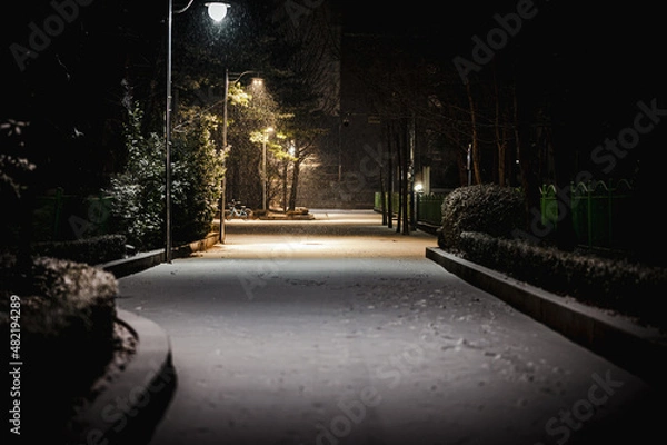 Obraz 소복소복 눈 온 날..