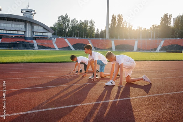 Fototapeta A large group of boys ' children are taught by a coach at the start before running at the stadium during sunset. A healthy lifestyle.
