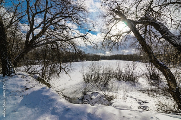 Obraz winter landscape with trees and snow