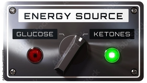 Obraz Energy Source: Ketones / Glucose