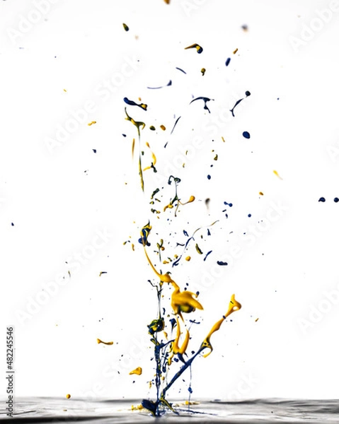 Fototapeta Colourful Paint Splash - White Background