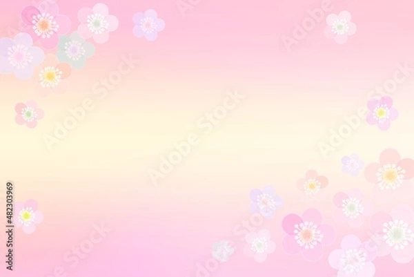 Fototapeta ひな祭りのお祝いや新年のお喜びに使いやすい梅の花の明るいピンクの背景 可愛い
