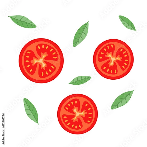 Fototapeta Slices of tomato with herbs on a white background