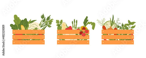 Obraz Fresh vegetables in wooden crates on a white background.  Vector flat illustration with organic plant food