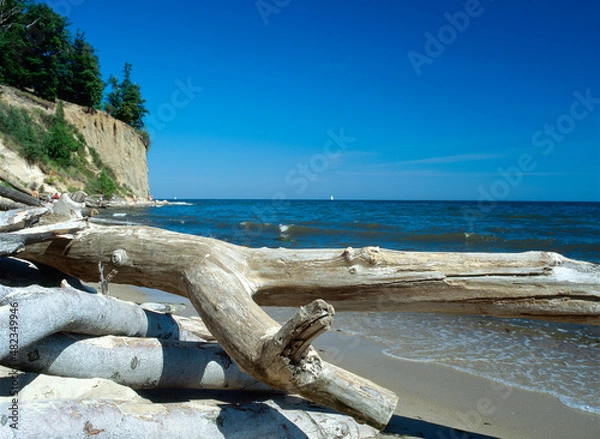 Obraz Cliff coast, Gdynia Orlowo (Or³owo), Baltic Sea, Poland