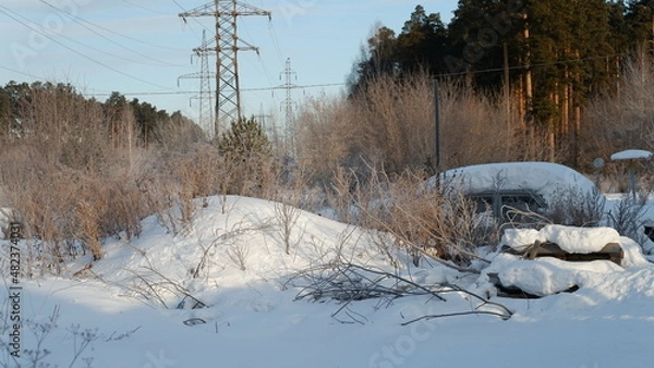 Obraz snow covered trees