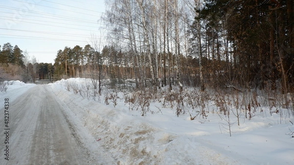 Obraz river in the forest