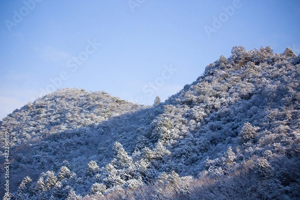 Fototapeta 雪の積もった山