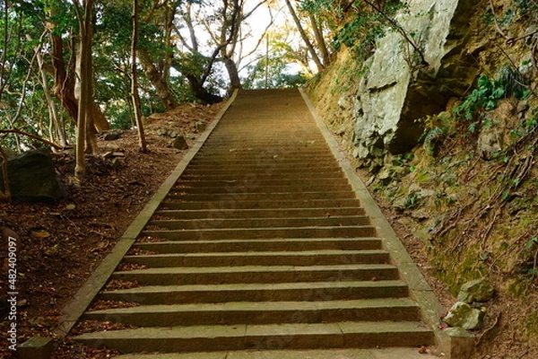 Fototapeta 日本 長崎県 対馬 海神神社