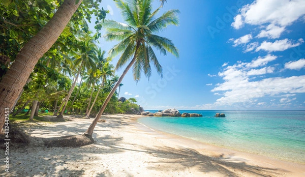 Obraz tropical beach with coconut palm tree