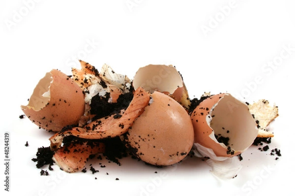 Fototapeta Bioabfall