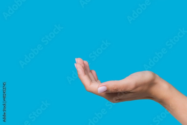 Fototapeta Close up view stock photography of beautiful manicured outstretched empty female hand isolated on blue background 