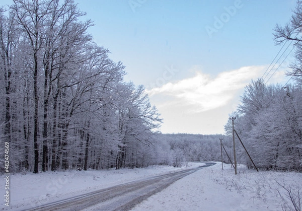 Obraz road in winter