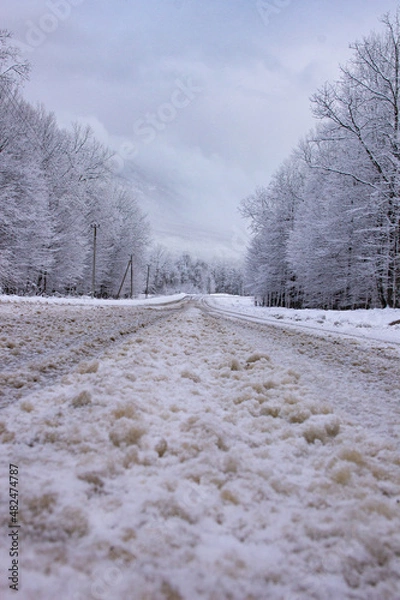 Obraz winter landscape with snow