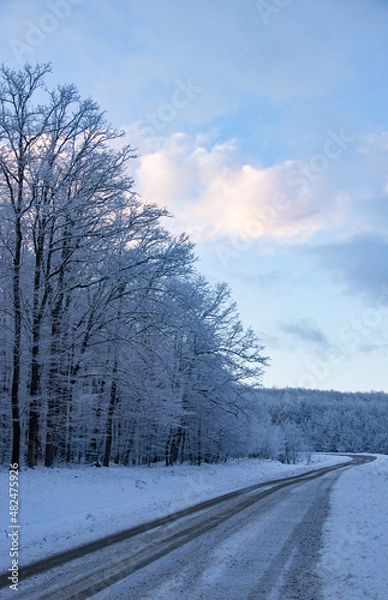 Obraz winter landscape in the mountains