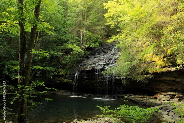Obraz Waterfall in Tennessee forest