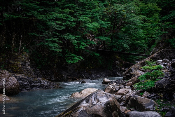Obraz Rio en Movimiento