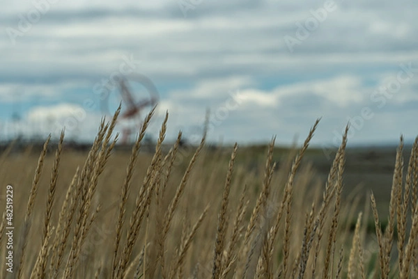 Obraz Monumento al Sur