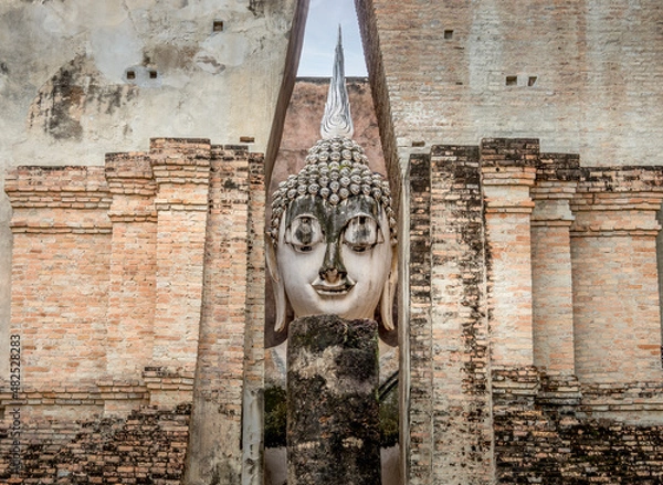 Fototapeta OLYMPUS DIGITAL CAMERA